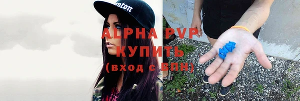 ALPHA PVP Ельня